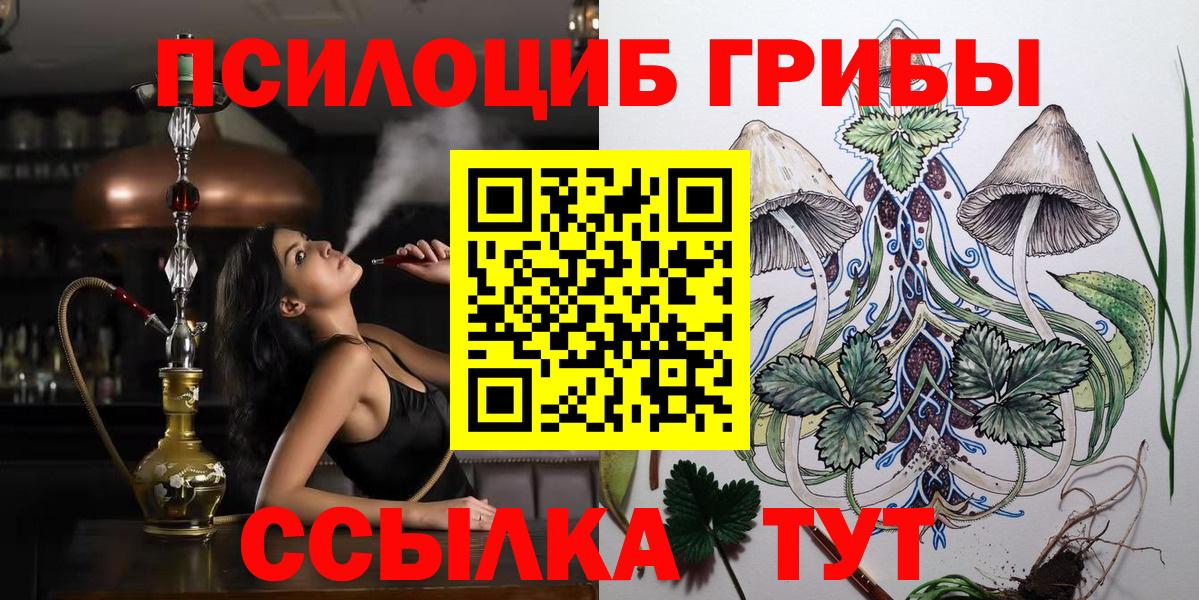 Сызрань  купить  цена  Вход с VPN  Галлюциногенные грибы Cubensis 